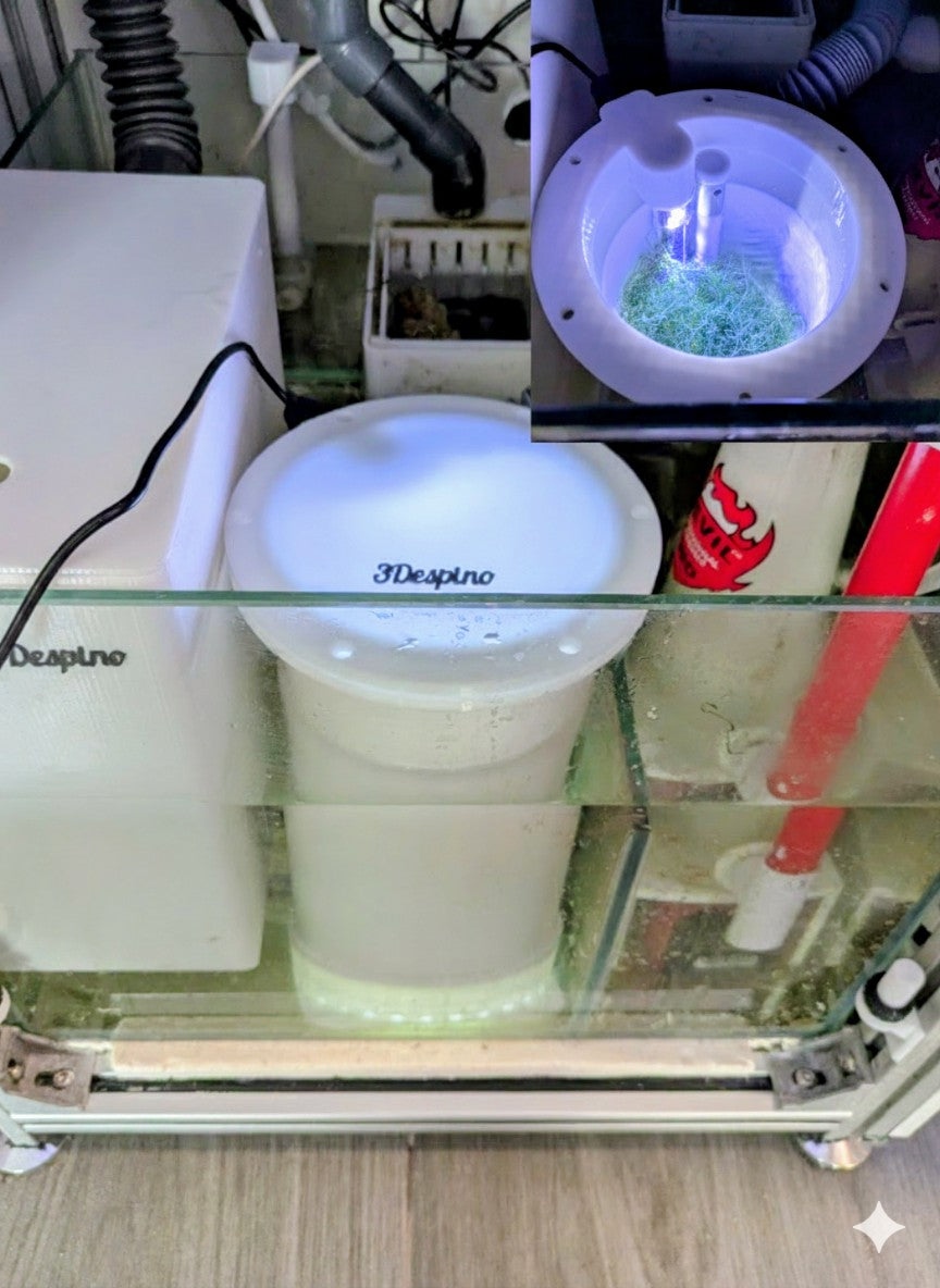 Reactor de alga Chaetomorpha/Caulerpa para sump