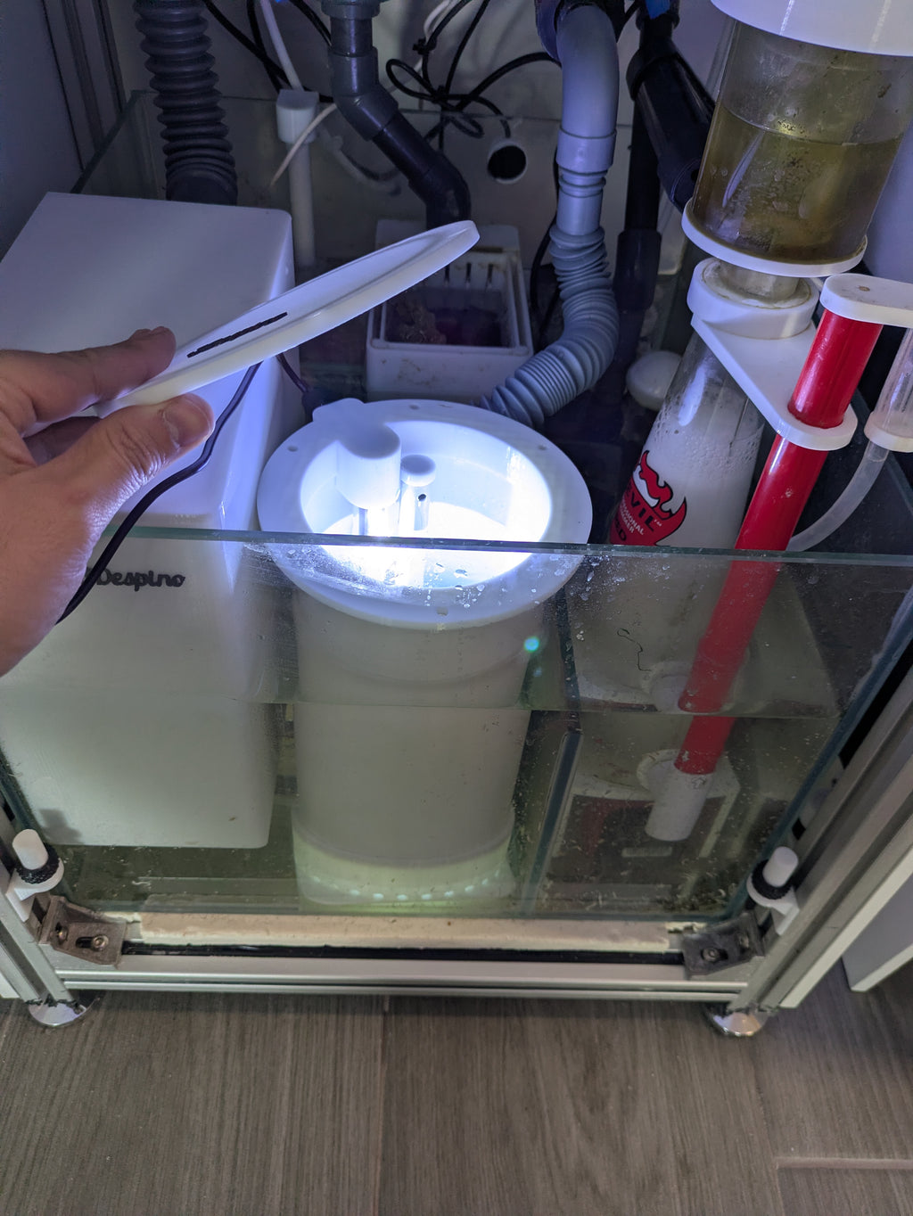 Reactor de alga Chaetomorpha/Caulerpa para sump