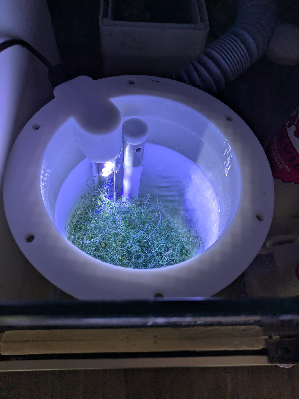 Reactor de alga Chaetomorpha/Caulerpa para sump