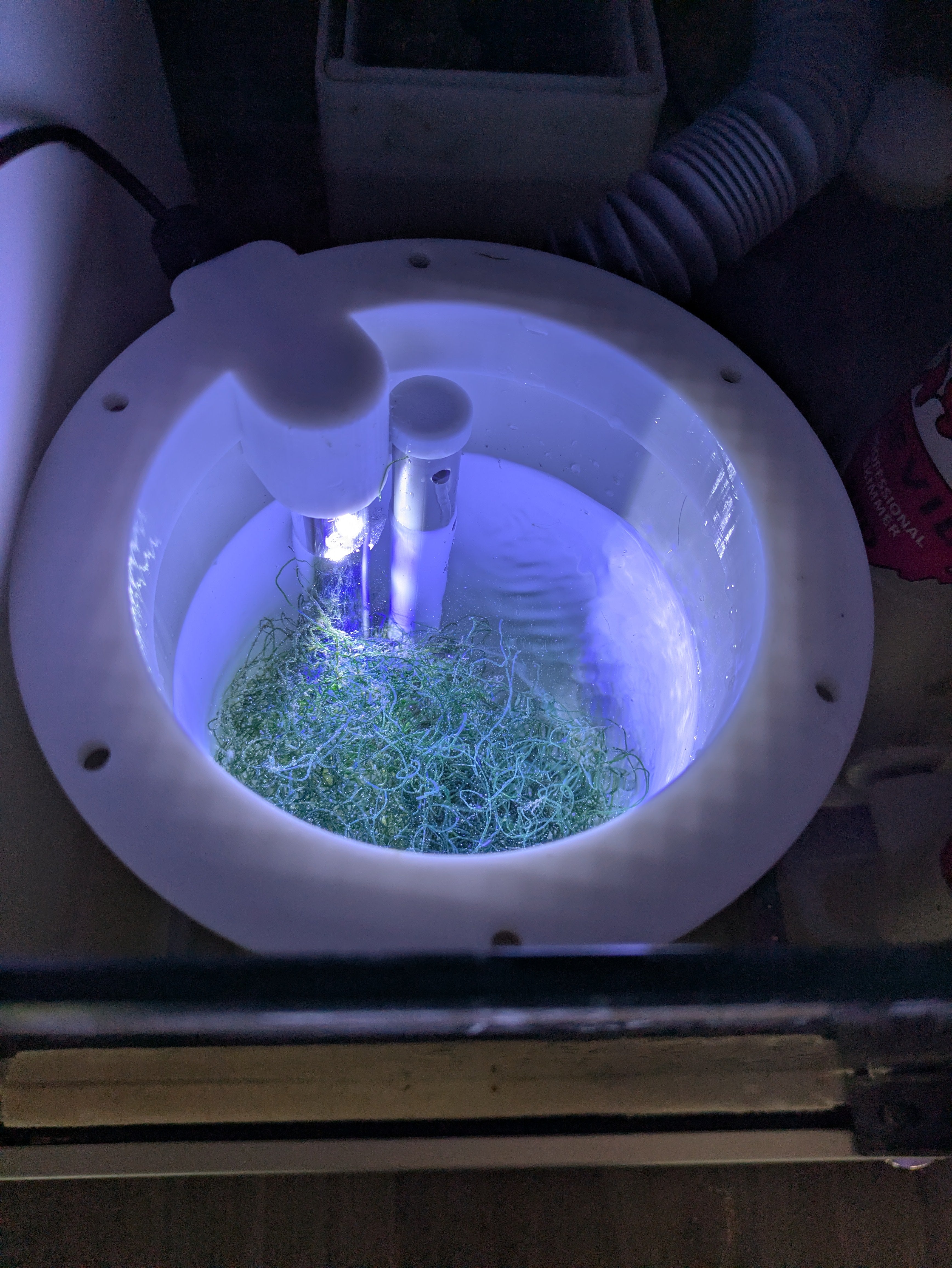 Reactor de alga Chaetomorpha/Caulerpa para sump