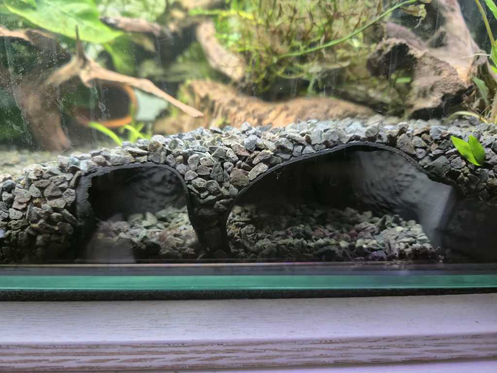 Cueva para peces de fondo